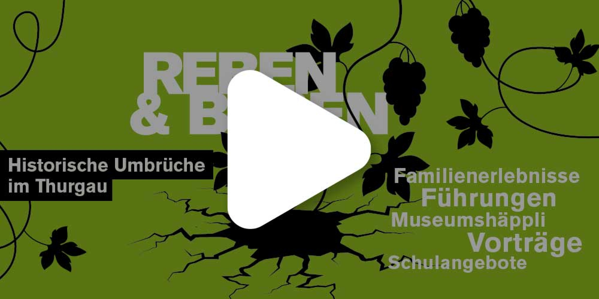 Video abspielen